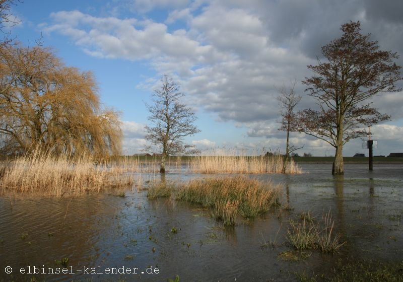 Deichvorland bei Hochwasser